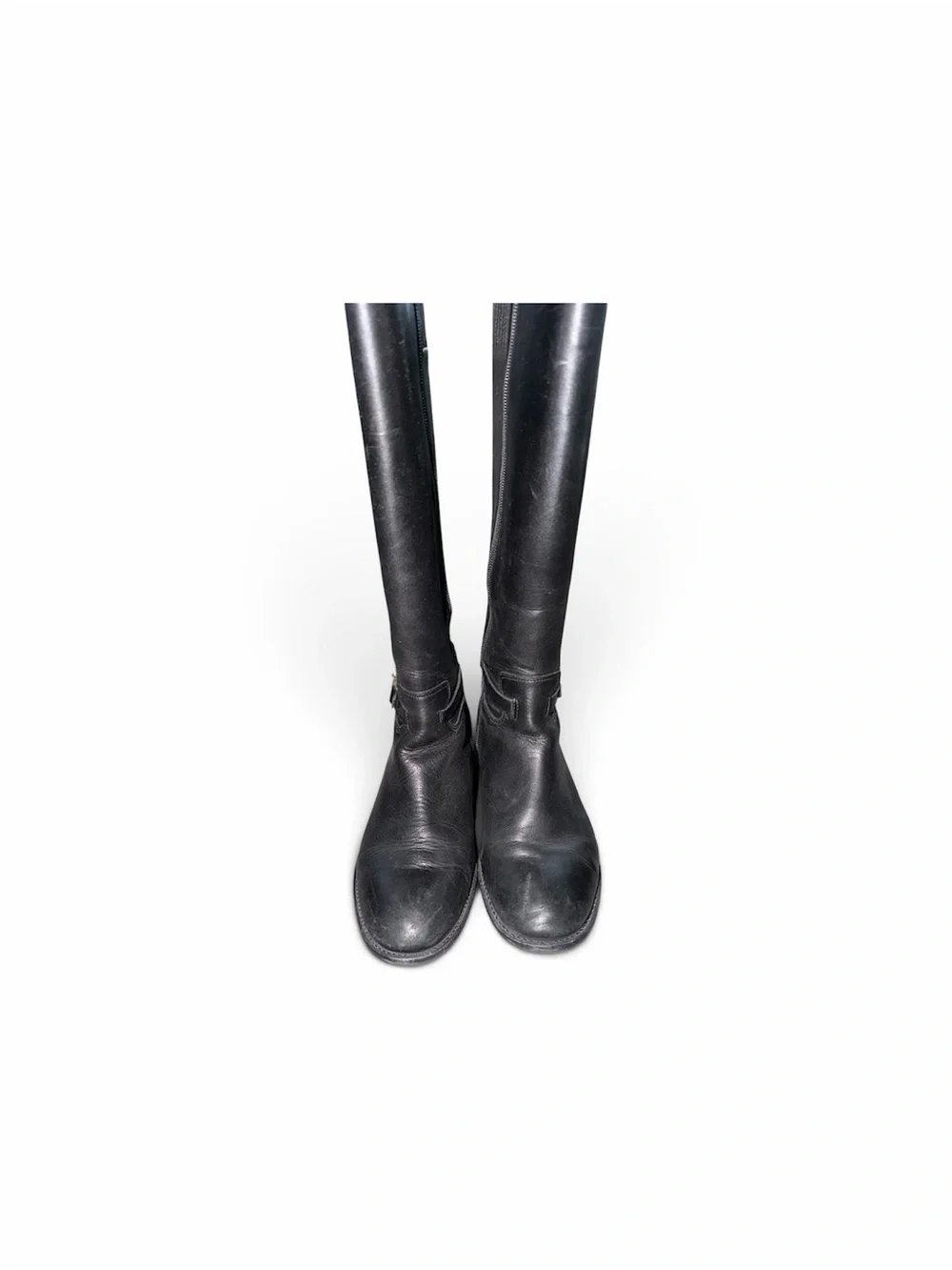 Talbots sleek tall